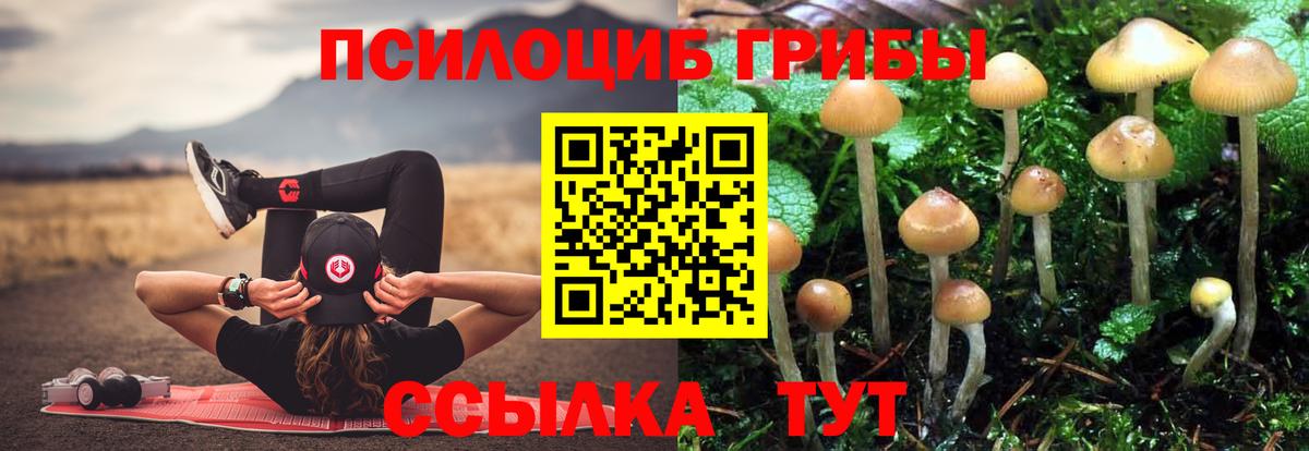 Краснотурьинск  купить наркотик  Псилоцибиновые грибы Cubensis  Вход с VPN  Галлюциногенные грибы мицелий 