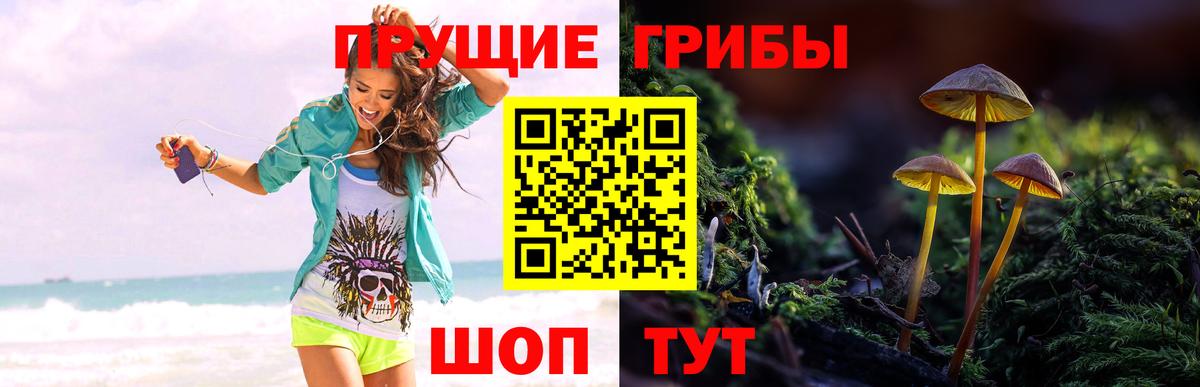 Галлюциногенные грибы MAGIC MUSHROOMS Краснотурьинск